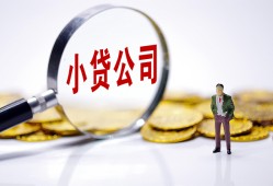 北京快速哪里可以小额贷款-北京快速私人私人借贷-北京快速无抵押私人贷款